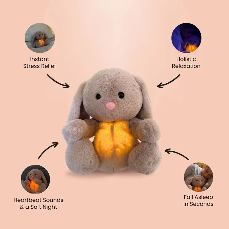 Rabbit Plush Soothing Sensory Toy