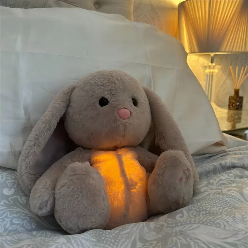 Rabbit Plush Soothing Sensory Toy